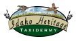 Idaho Heritage Taxidermy